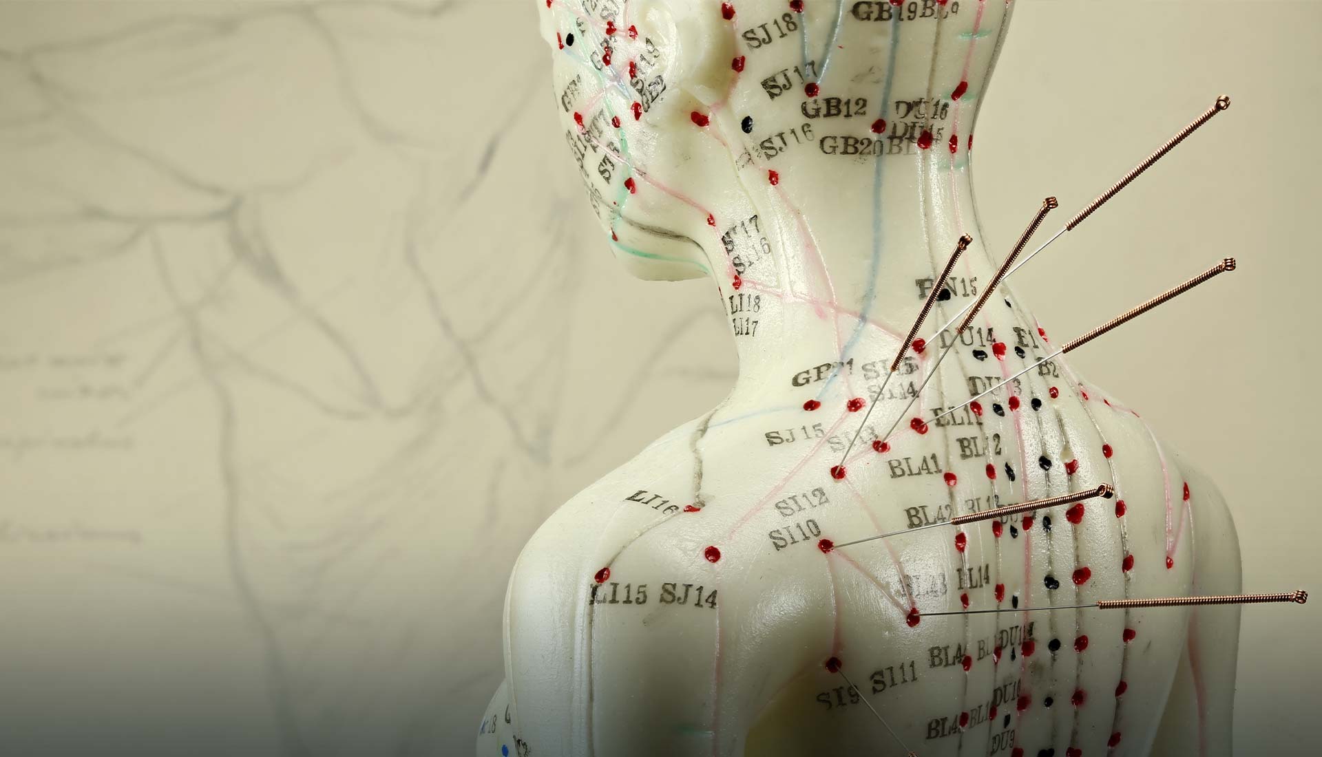 Traditional Chinese Medicine